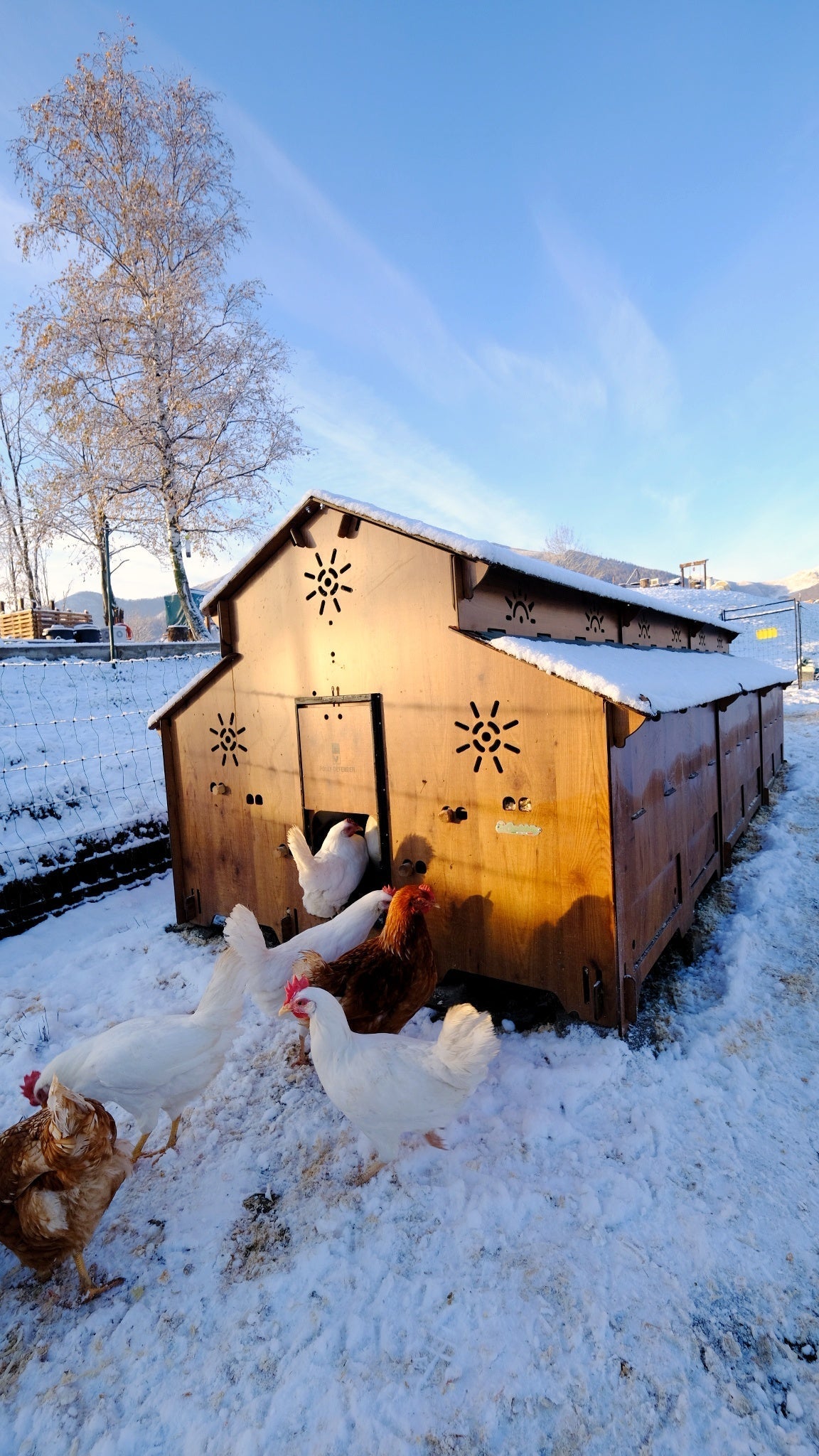 Easicoop Farm Plus 6XL modular expandable Chicken house 96 Large Birds