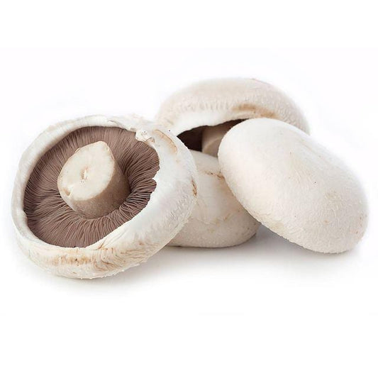 Flat Mushroom (twin pack)