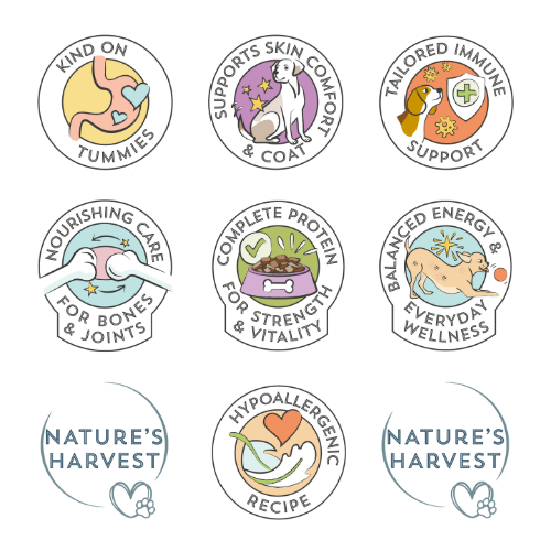 Chicken & Vegetables with Brown Rice - Senior