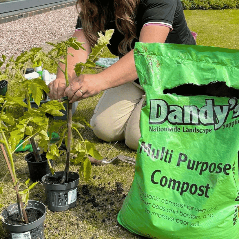 Multi Purpose Welsh Compost