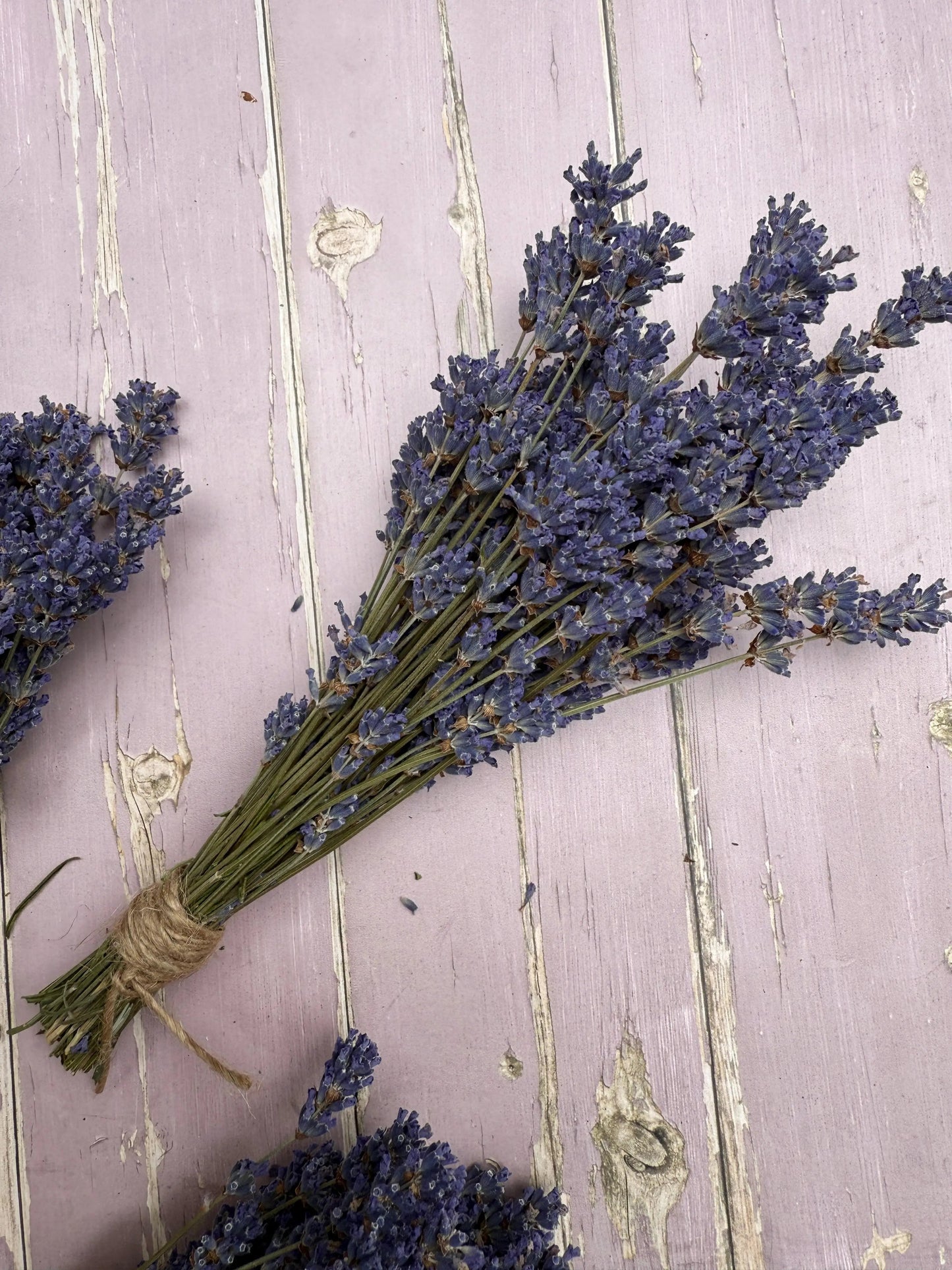 Lavender Dried (Small)
