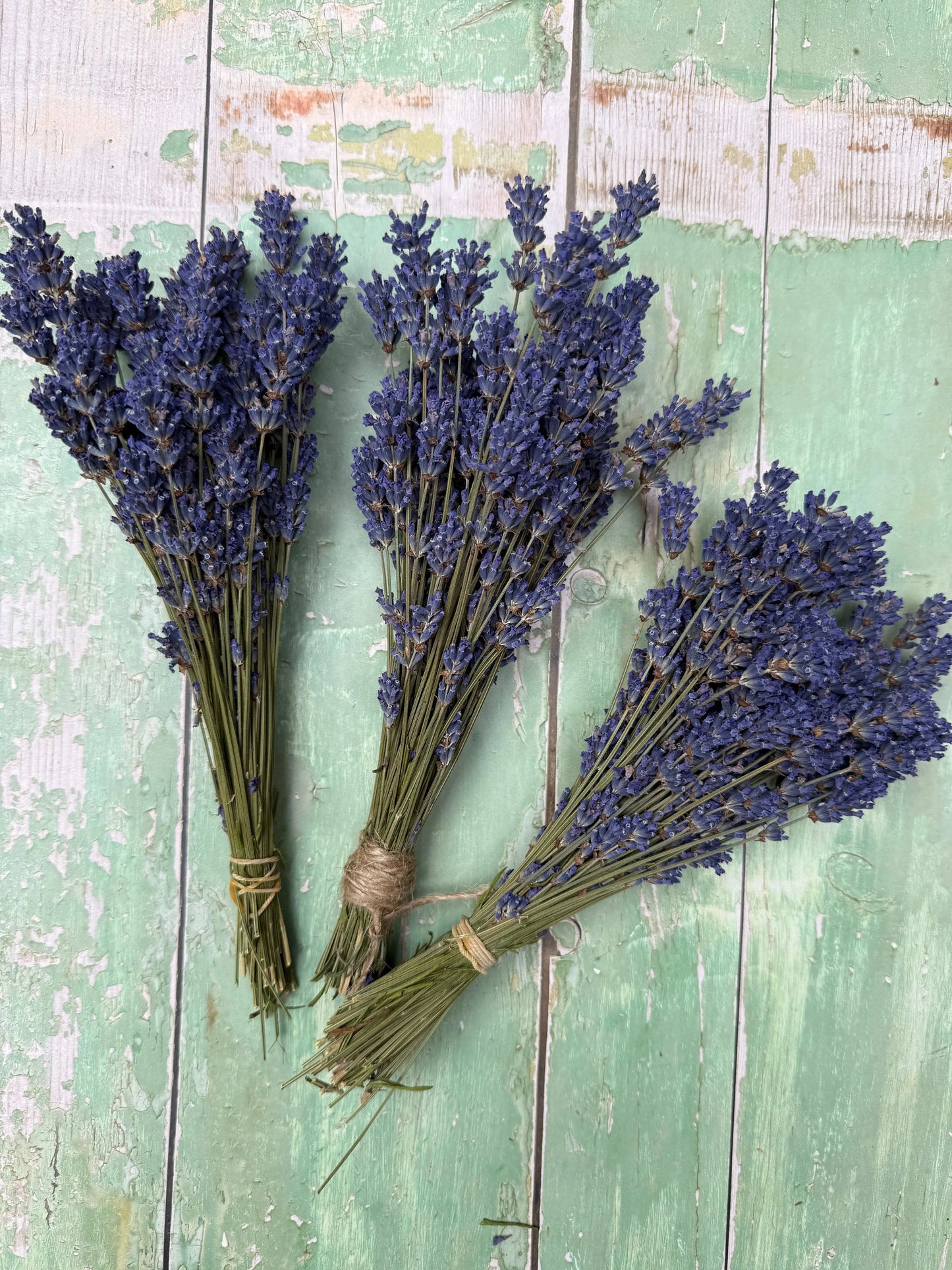 Lavender Dried (Small)
