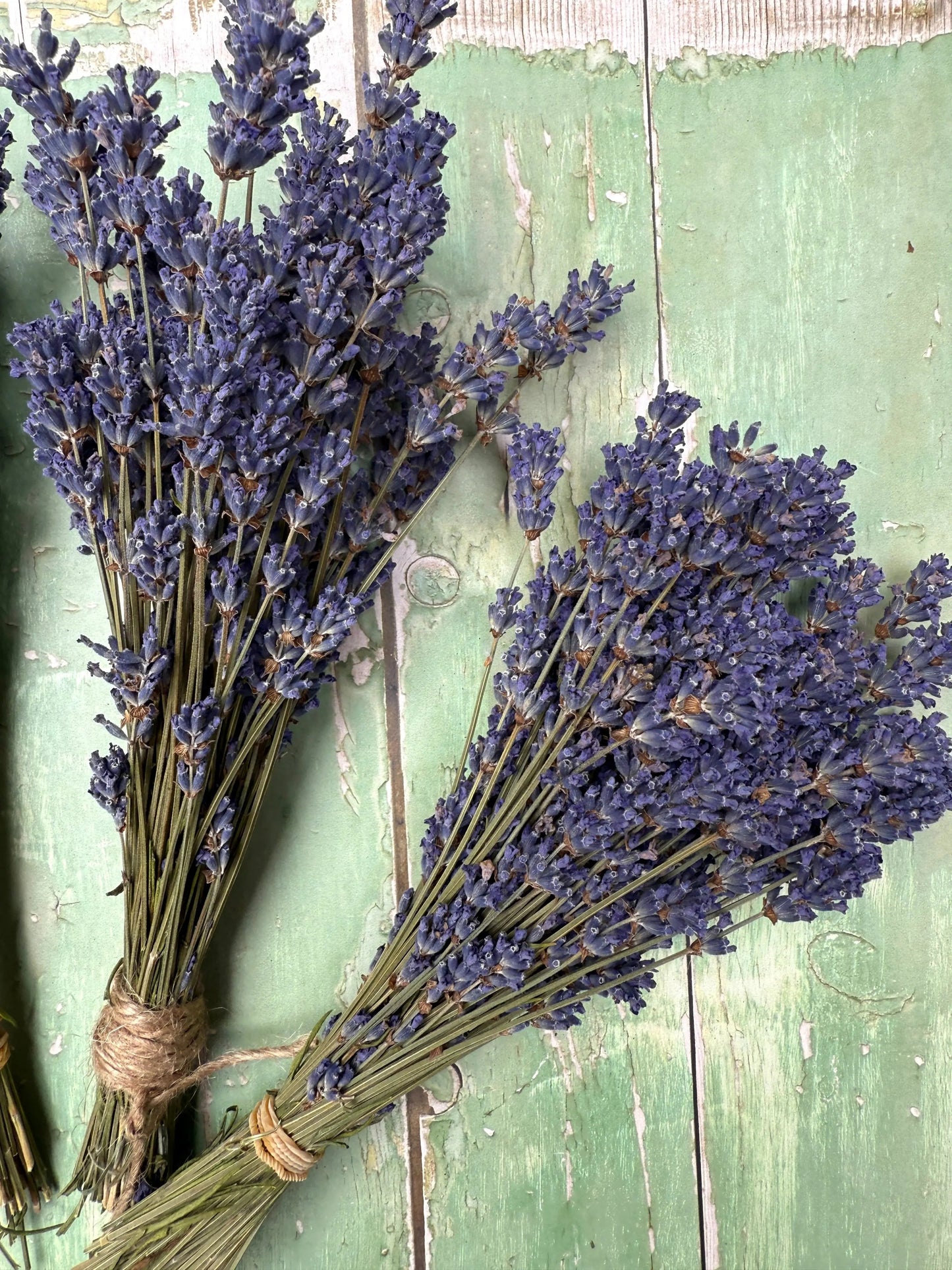 Lavender Dried (Small)