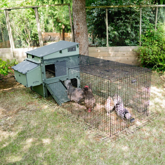 Run for Nestera Aspen 10 Chicken coop