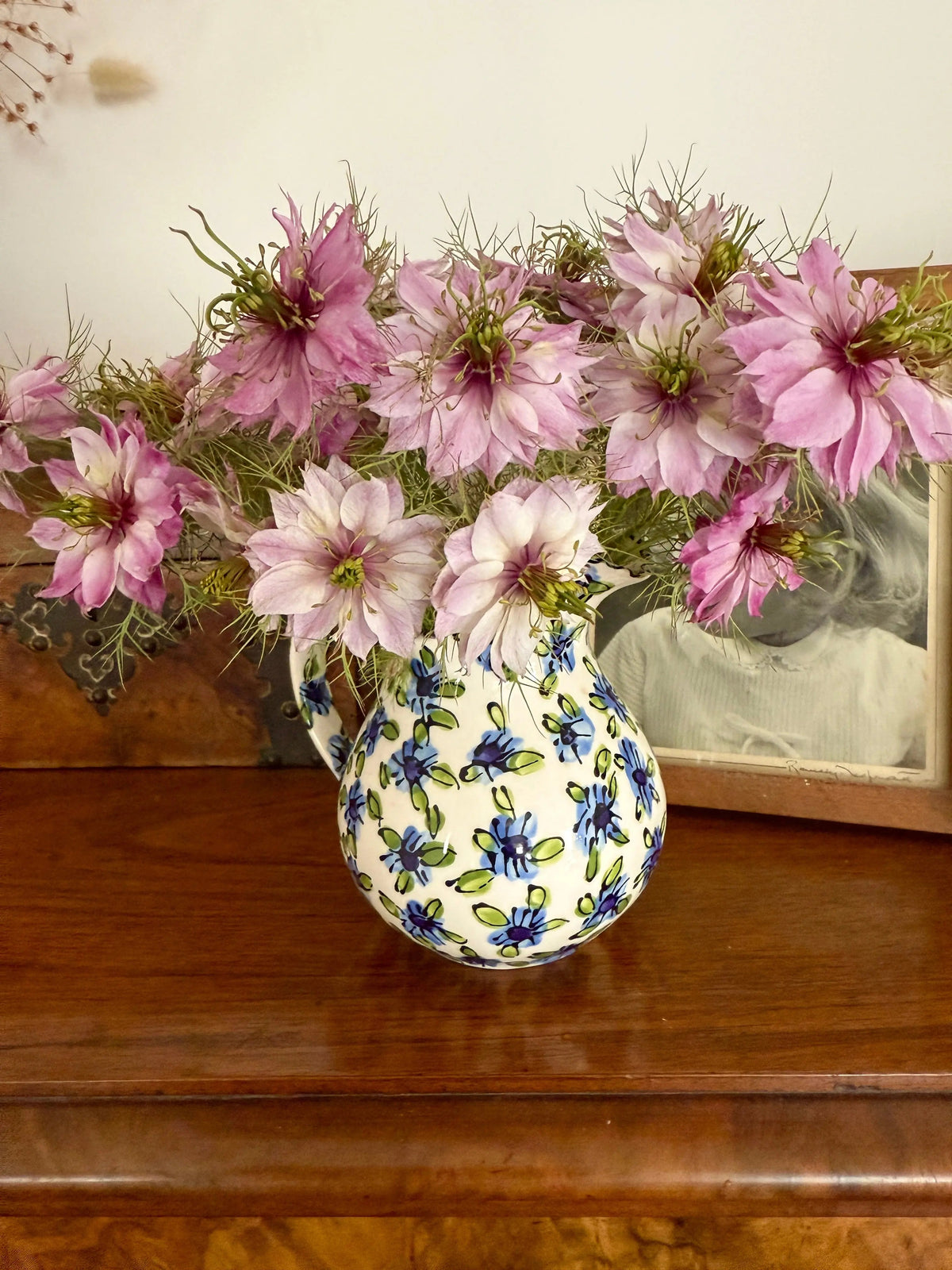 Nigella Mulberry Rose (Love-in-a-mist)