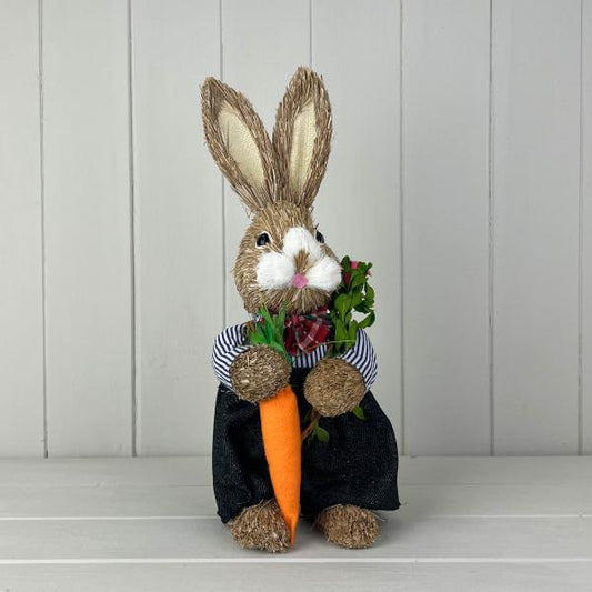 Rabbit Holding A Carrot L11cm W11cm H34cm  Weight-99g