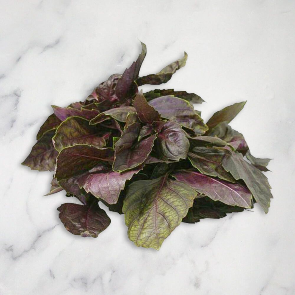 Red Basil (Crimson)