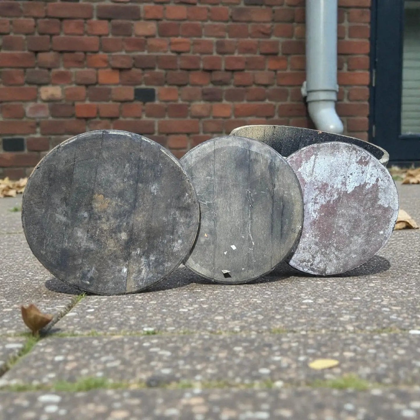 Oak Barrel Lids / Tops / Heads from Whisky Bourbon Wine and Port Barrels / Casks