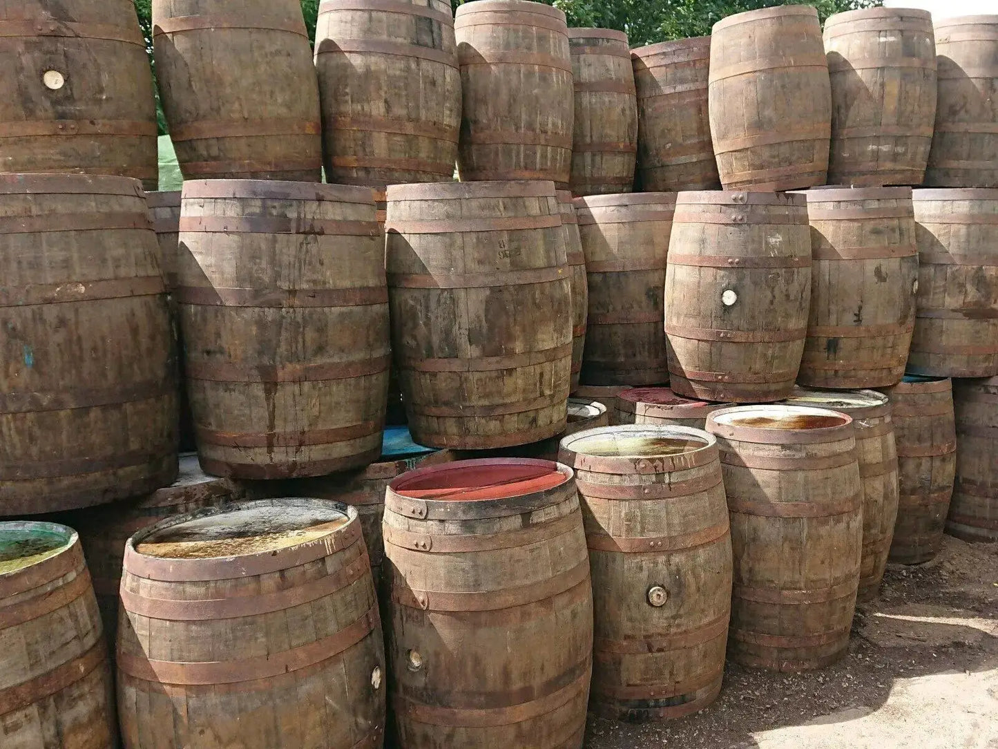 Recycled Solid Oak Barrel Whisky Outdoor/Indoor Garden 40 Gallon