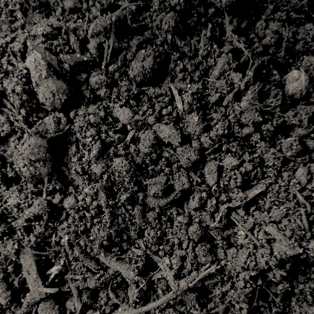 Multi Purpose Welsh Compost