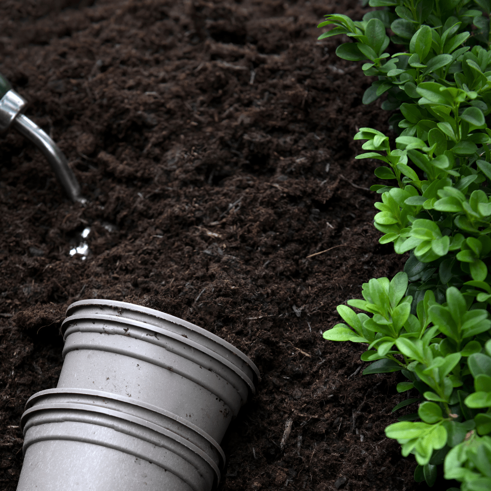 Multi Purpose Welsh Compost