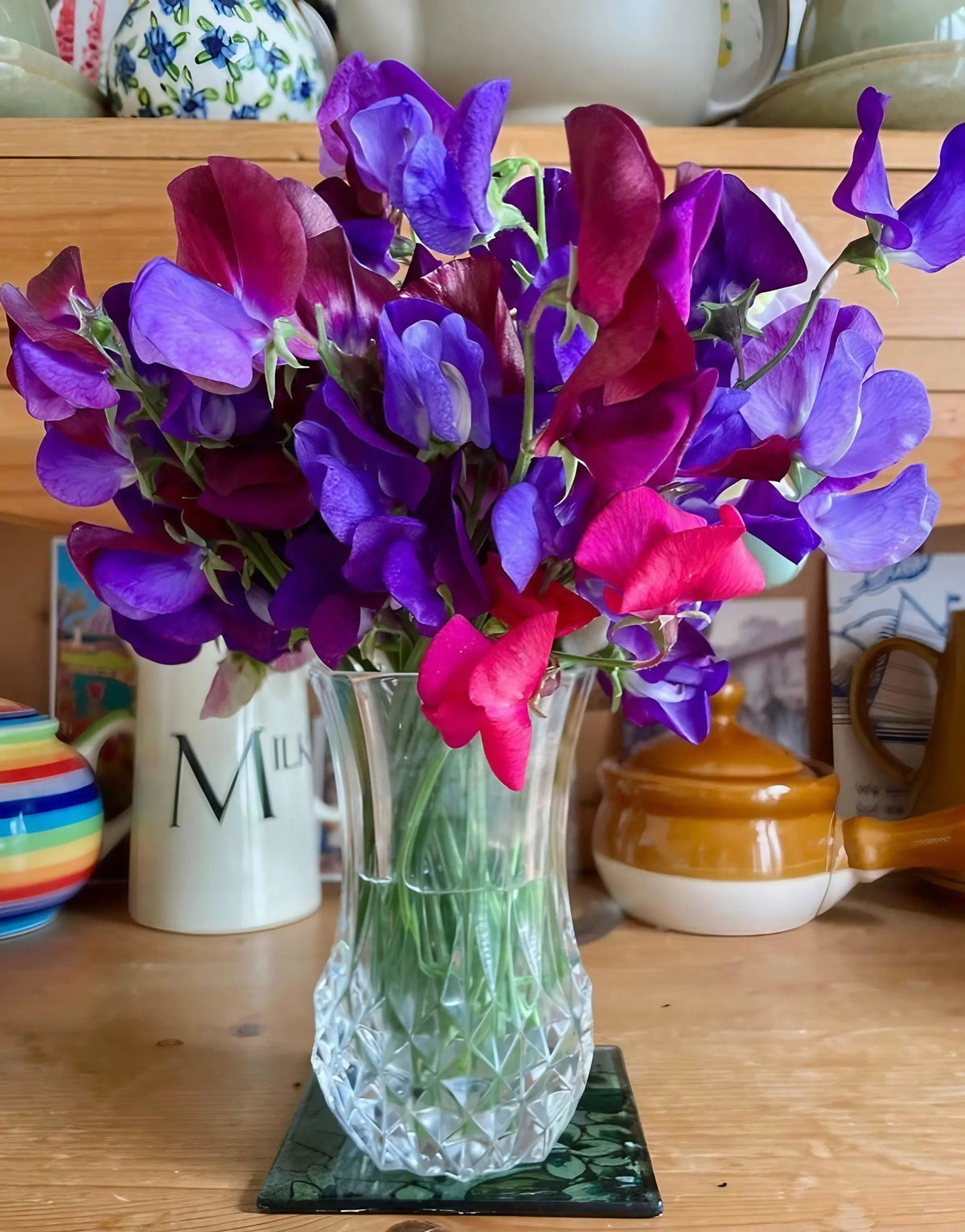 Sweet Pea Old Spice Starry Night