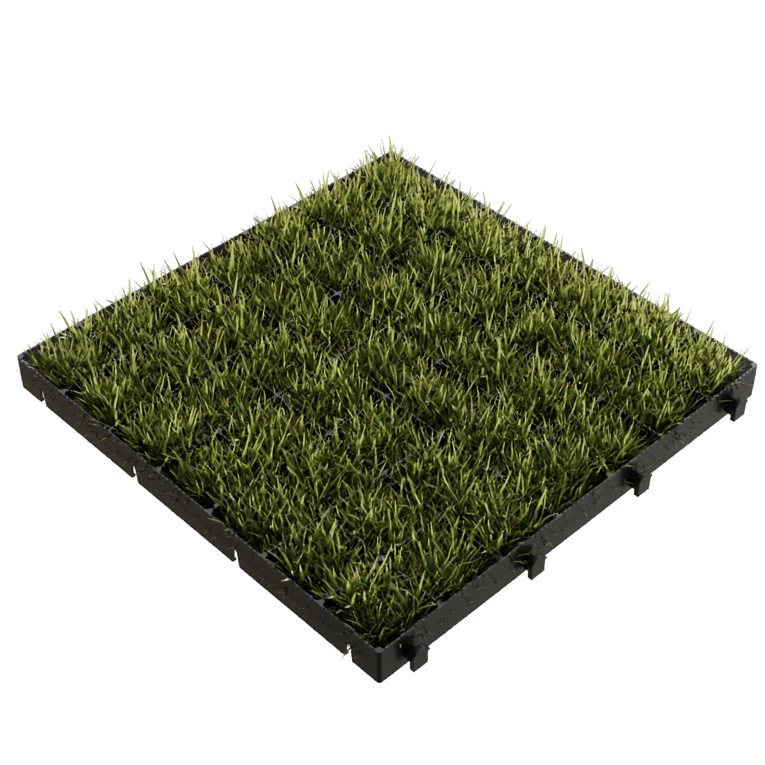 Grass Parking Grids