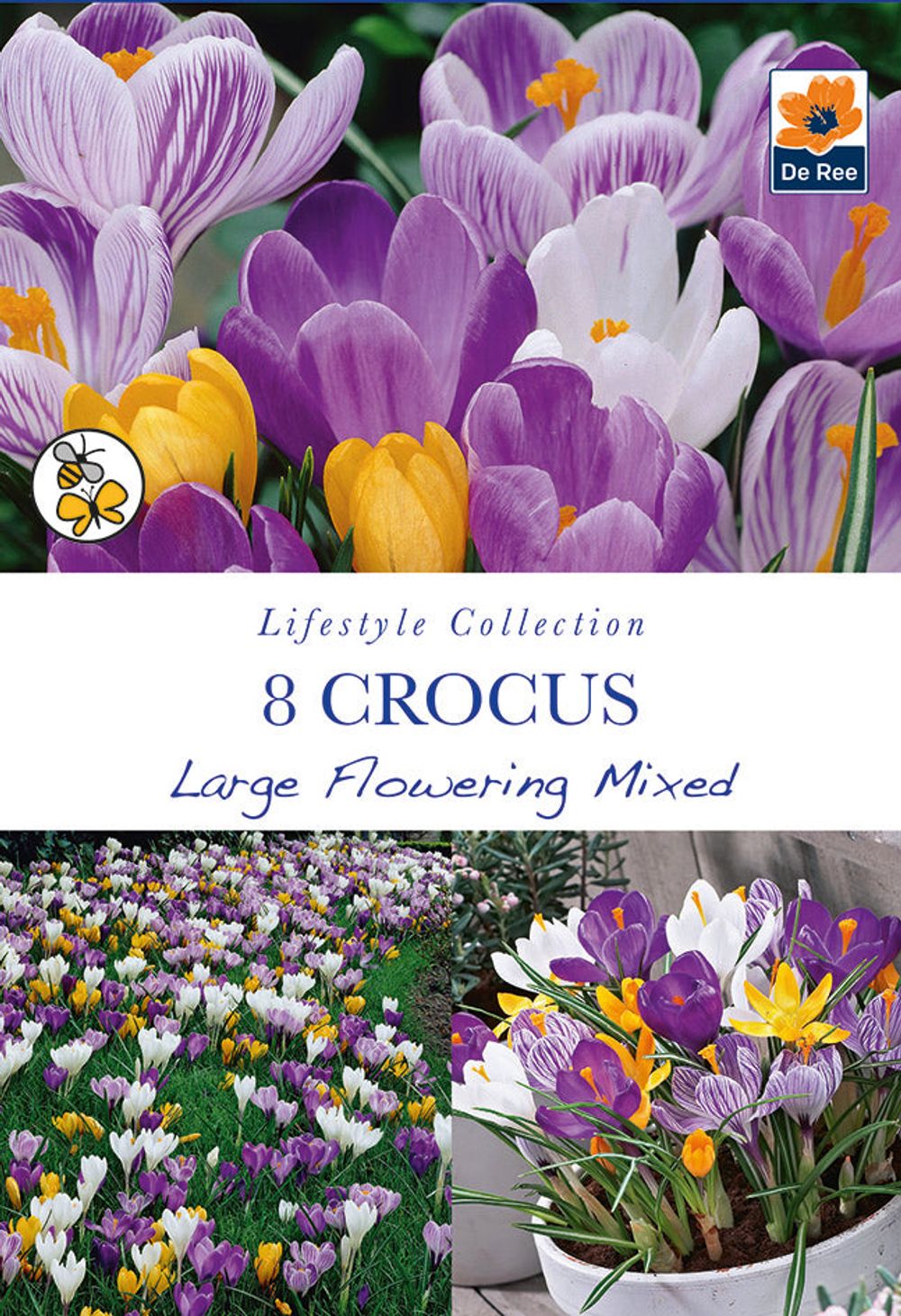 Crocus Large Flowering Mixed (8 Bulbs) - Woodmeadow Garden Centre
