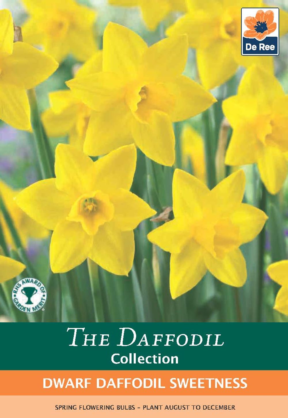 Dwarf Daffodil 'Sweetness' (10 Bulbs) - Woodmeadow Garden Centre