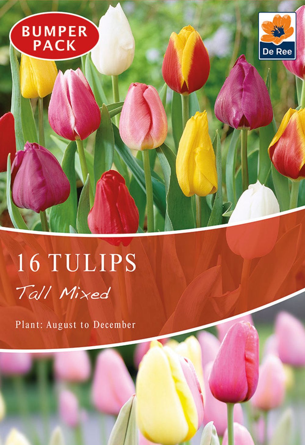 Tulips Tall Mixed (16 Bulbs) - Woodmeadow Garden Centre