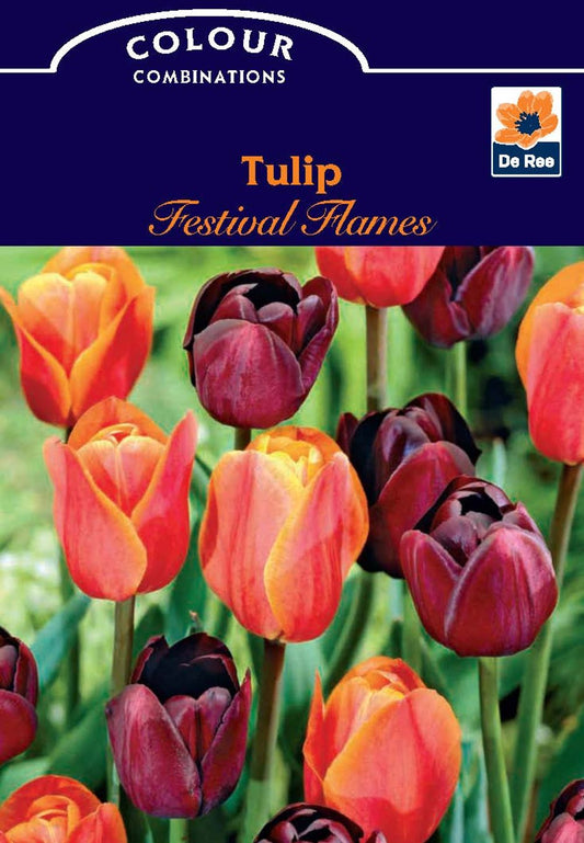 Tulip Festival Flames (6 Bulbs) - Woodmeadow Garden Centre