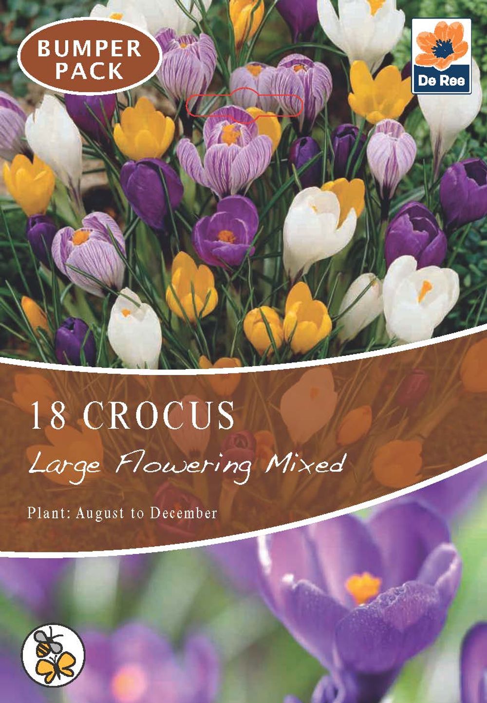 Crocus Large Flowering Mixed (16 Bulbs) - Woodmeadow Garden Centre
