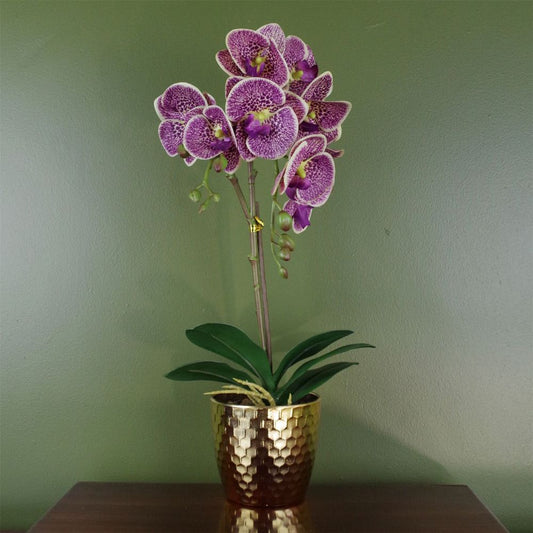 Lifelike 50cm Purple Leopard Orchid - Realistic Artificial Plant