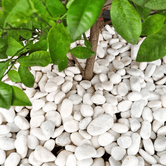 White pebbles 20 to 40mm Bulk Bag