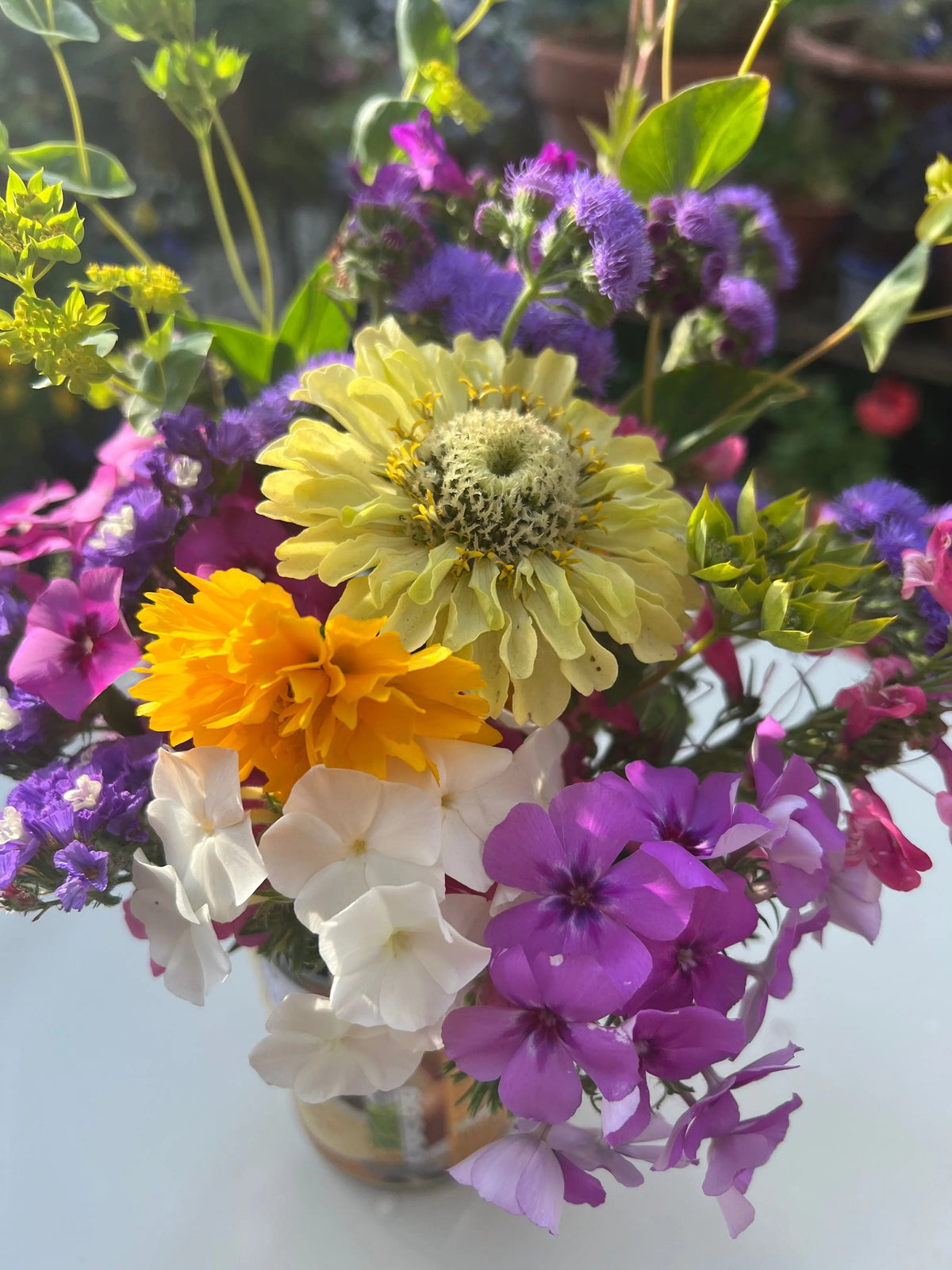 Zinnia Green Envy