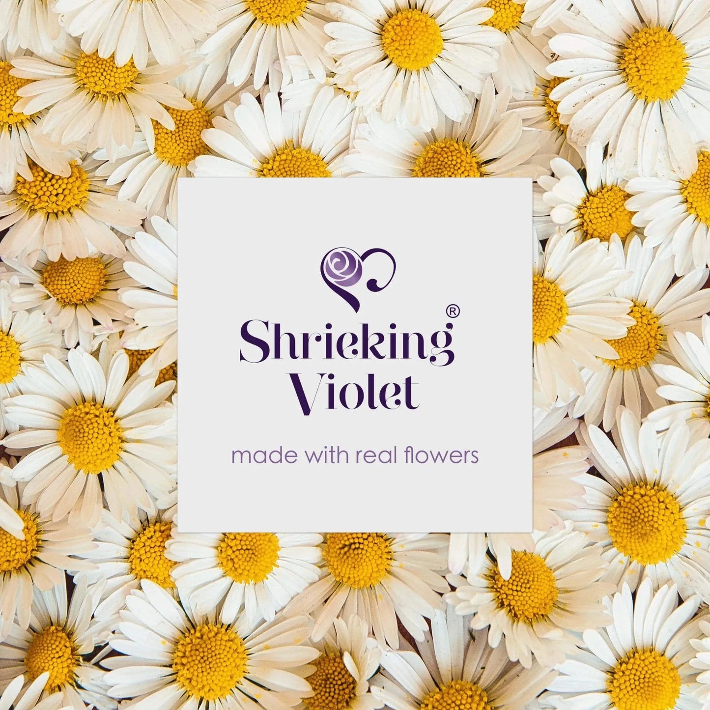 Sterling Silver Adjustable Daisy Flower Ring | Handmade Real Flowers