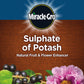 Miracle-Gro Sulphate Of Potash