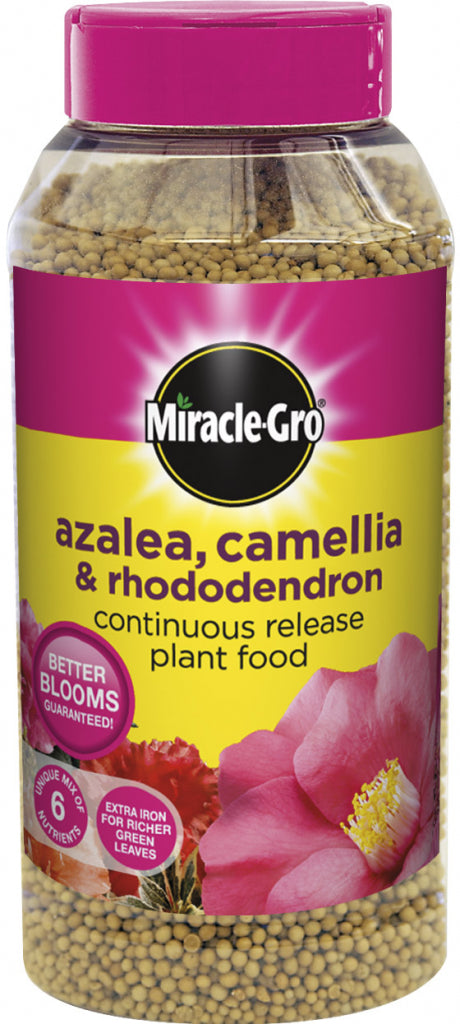 Miracle-Gro Slow Release Azalea, Camellia & Rhododendron Plant Food