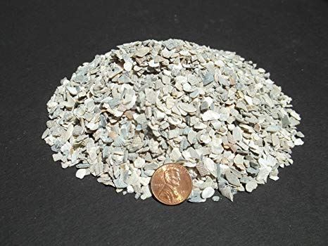 OYSTER SHELL MEDIUM for poultry
